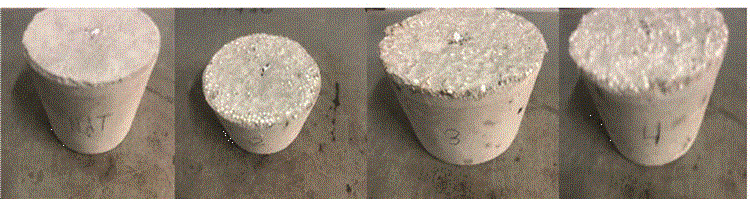 2594-0198-rvcs-15-101-gf11.gif